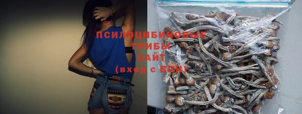 не бодяженный Белокуриха